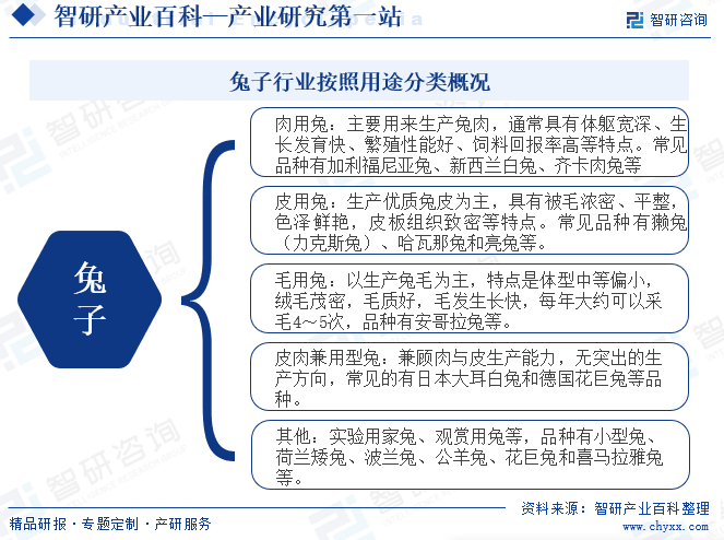 王中王论坛免费资料2024>研究报告！智研咨询发布建筑装饰装修行业市场分析、竞争格局及投资潜力报告  第3张