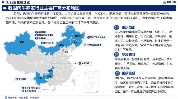 新澳门六开彩资料大全网址>2024年全球耐高压电阻市场深度洞察与投资策略报告-聚亿信息咨询  第1张