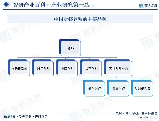 澳门天天开彩好正版挂牌>2024-2029年中国宠物药品行业发展预测与投资战略咨询报告  第1张