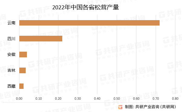 新澳门最新最快资料>2025-2029年中国心脑血管药市场前景预测及投资咨询报告  第2张