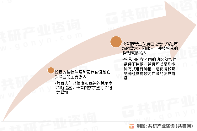 2024年白小姐开奖结果>2025-2029年中国茶叶市场前景预测及投资咨询报告  第1张