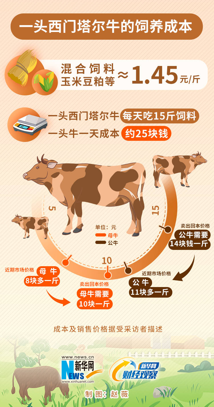 新澳门开奖结果开奖记录>财经早班车丨上交所宣布推出上证科创板200指数  第1张