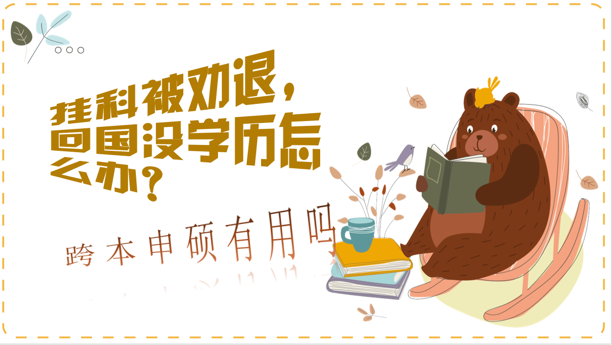 2024年白小姐开奖结果19期>创业的“种子”快速生根发芽 乌干达留学生在陕西西咸新区空港新城圆梦创业  第3张