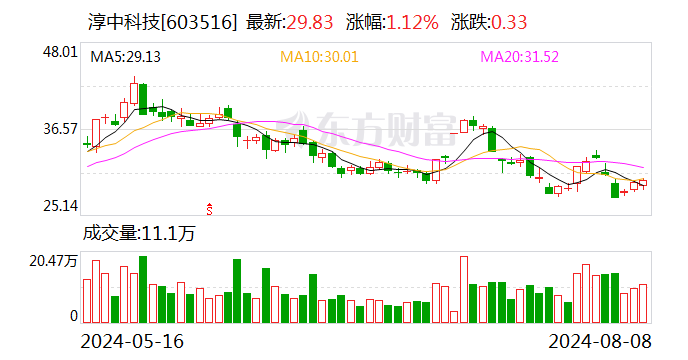 淳中科技：2024年上半年净利润同比增长494.03%  第1张