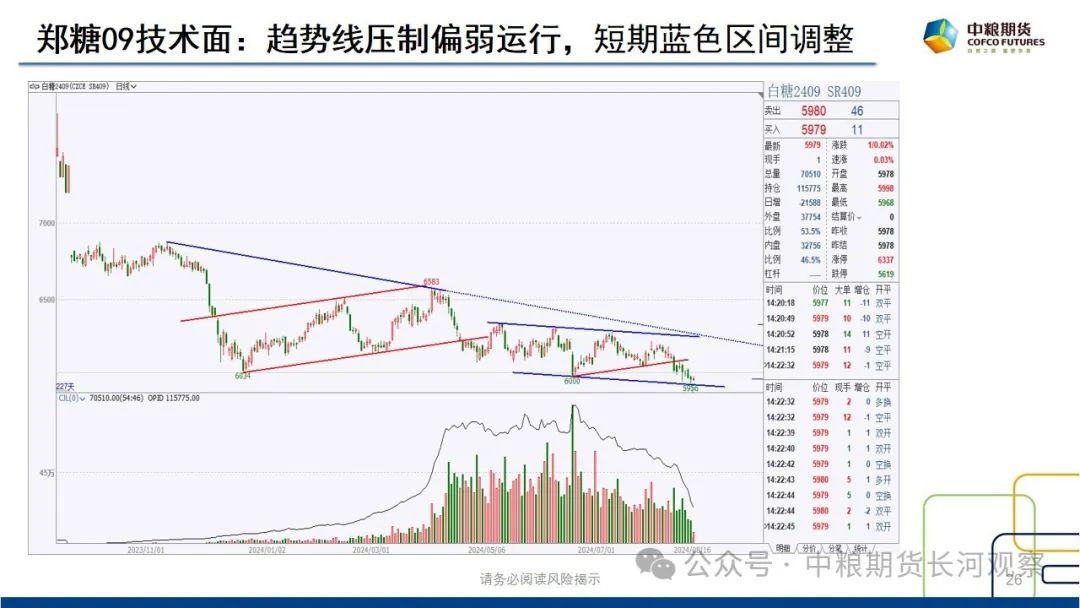 【长河报告】白糖：双周数据跟踪-20240816  第28张