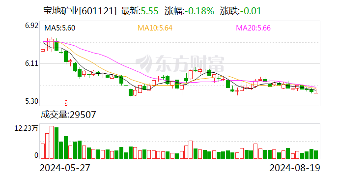 宝地矿业2024年上半年利润增长53.24% 并每10股派发现金红利0.5元  第1张